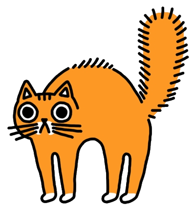 Cat on a button